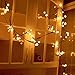 YINGXIANG 8.2Ft Globe String Light，UL Listed String Lights， Hanging Indoor/Outdoor Decorative String Light for Garden,Wedding,Xmas Party,Patio, Backyard,Cafe,Party,Bedroom,Tapestry(Warm White)