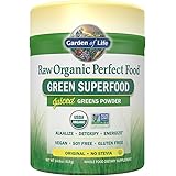Garden of Life Vegan Green Superfood Powder - Raw Organic Perfect Whole Food Dietary Supplement, Original, 14.8oz (419g) Powder