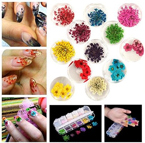 Skango(TM) 12 Colors Real Nail Dried Flower Nail Art Stickers Tips Decoration With Case Small Flowers Fashion Nail styling Tools DIY