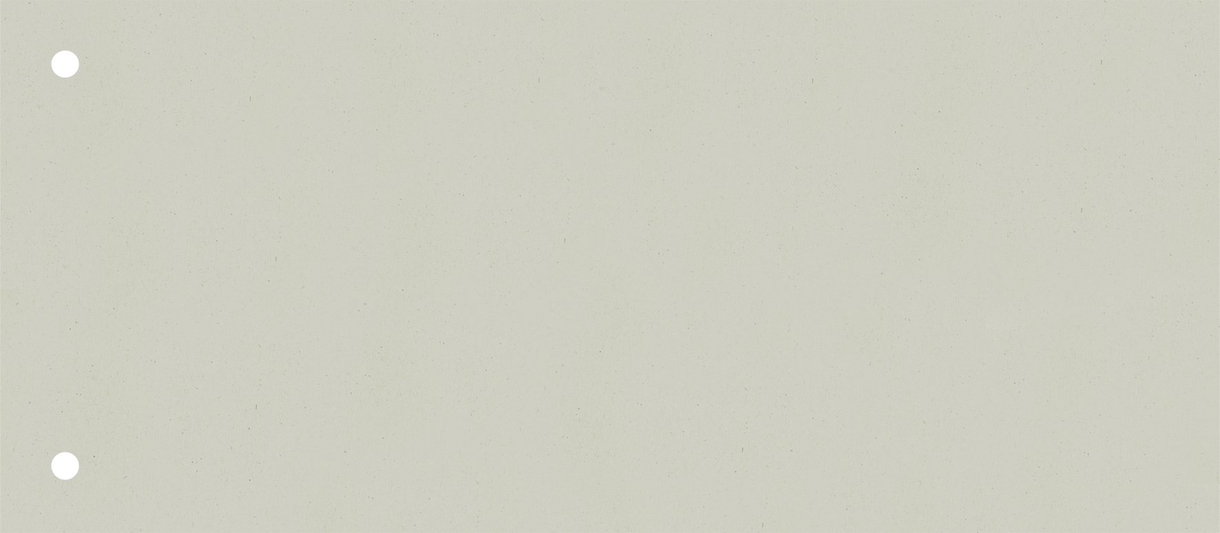 Brunnen 106604080 Divider Strips (10.5 x 24 cm Landscape, Made of Cardboard, Perforated, 100 Divider Strips) Grey