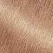 Garnier Nutrisse Nourishing Hair Color Creme, 82 Champagne Blonde (Champagne Fizz) (Packaging May Vary)