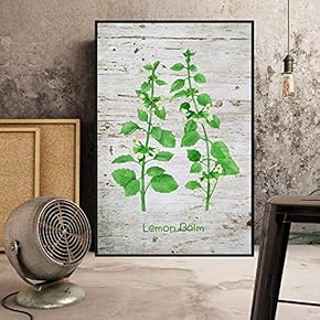 Floating Framed Canvas Wall Art for Living Room, Bedroom Plant Canvas Prints for Home Decoration Ready to Hang - 16x24 inches