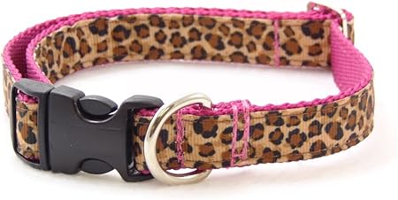 world top dangerous dog