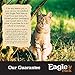 Eagle Pack Natural Dry Indoor Cat Food, Chicken, 12-Pound Bag