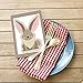 Woodland Creatures Party Supplies | Nursery and Baby Shower Decorations | Set of 6 HEAVY Card Stock Figures | LARGE, DURABLE and REUSABLE