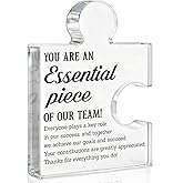 Team Appreciation Gifts for Employee, Thank You Gifts for Coworker Colleagues Boss Leader, Best Team Gift You Are an Essential Piece Acrylic Plaque Office Desk Decor