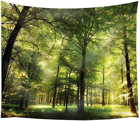 Infinal Tapestries Mandala Bohemian Tapestry Wall Hanging Sofa Cover Beach Blanket Dorm Decor Wall Art