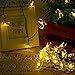 Qedertek Solar String Lights Lotus Flower, 19ft 30 LED Waterproof Decoration Lights for Indoor/Outdoor, Patio, Lawn, Garden, and Holiday (Warm White)