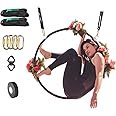 runner deer Complete Lyra Aerial Hoop Kit -Aerial Rings Equipment,Include a Stainless Steel Lyra (32mm Tube Dia) &Carabiners&Swivel& 3ft Spanset