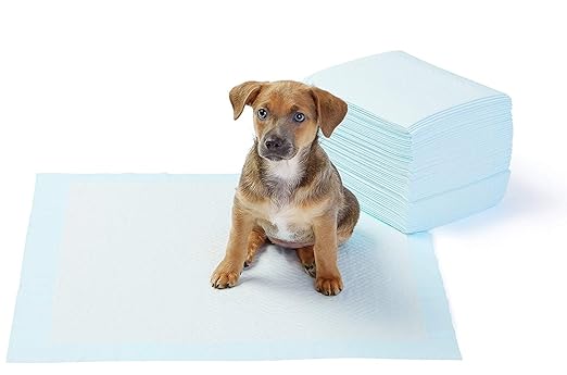 Goofy Tails Puppy Training Pad for Dogs |5 Layer Dog Pee Pads, Absorbs Up to 3 Cups of Liquid (L 90cm X W 60 cm) (10 Pieces)