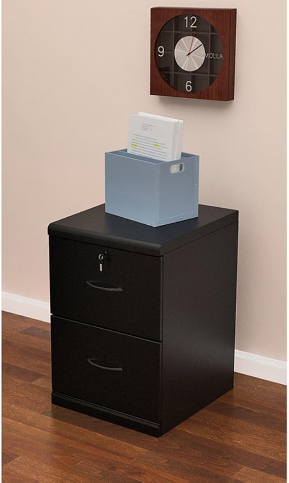 Amazon Com Z Line Designs 2 Drawer Vertical File Cabinet Black Furniture Decor