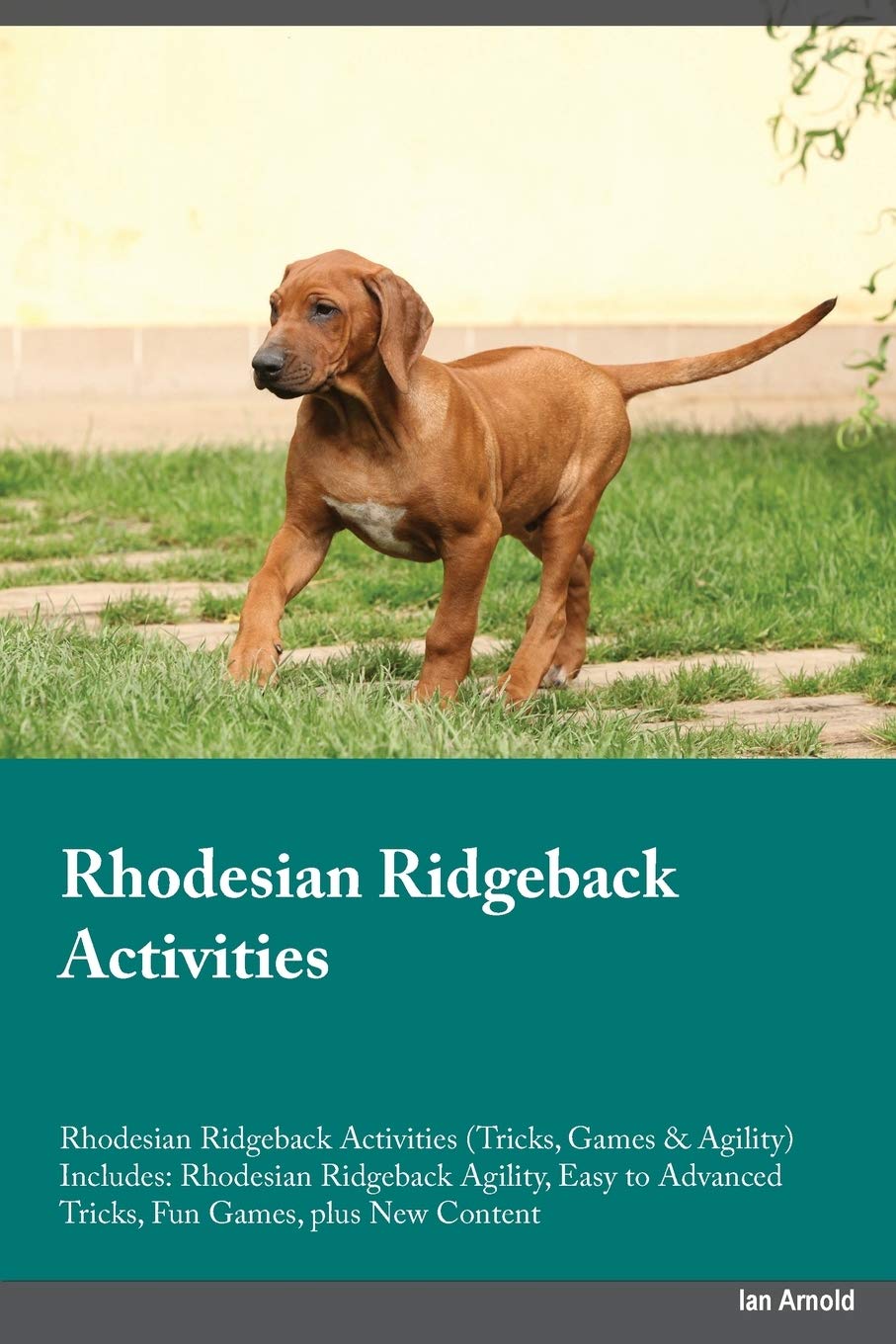 rhodesian ridgeback agility