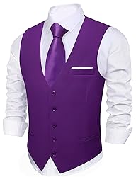 Barry.Wang Mens Purple Vest Formal/Leisure V-neck