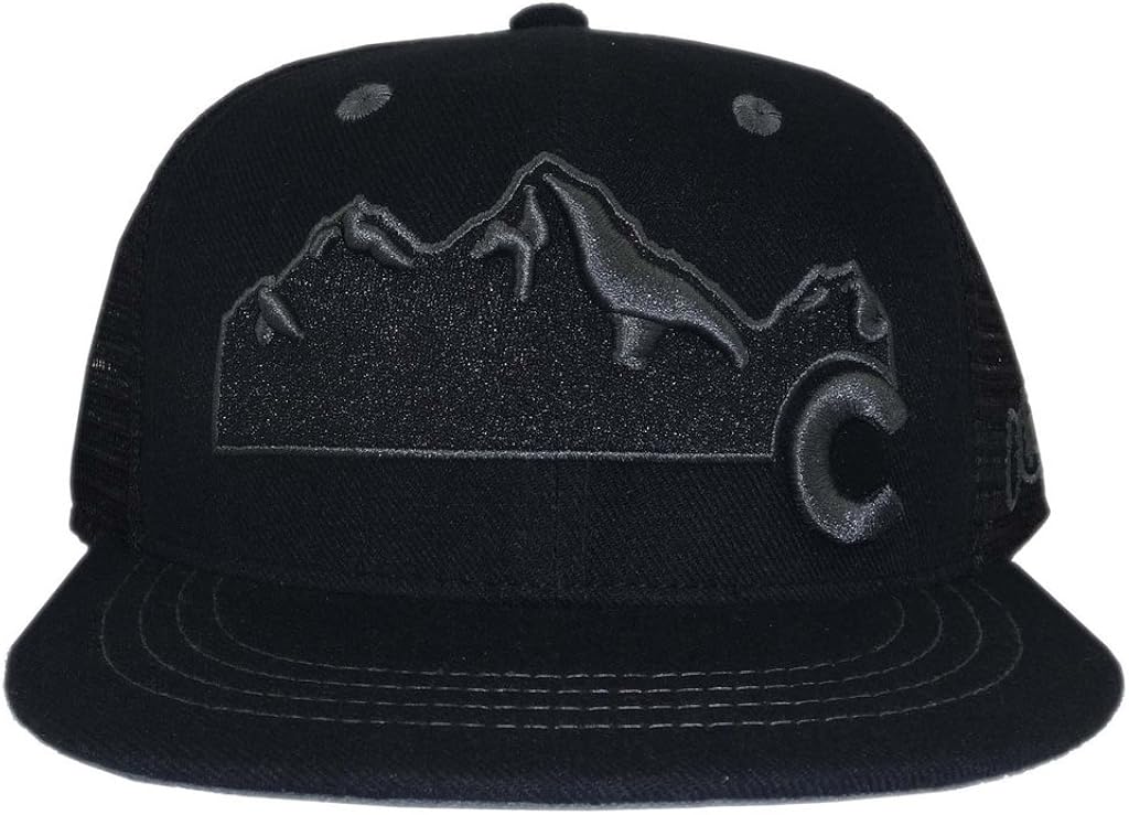 Aksels Colorado Mountain Flat Bill Snapback Hat (All Black) at Amazon