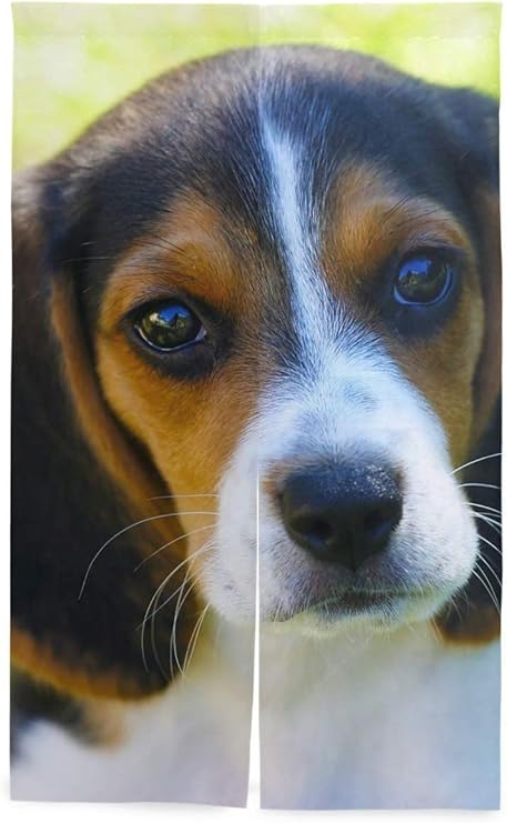 Amazon Co Jp のれん ロング 北欧 65x90cm ビーグル犬 子犬 アコーディオン カーテン 間仕切りに 断熱カーテン 突っ張り式 間仕切り目隠し 遮熱 のれん リラックマ 暖簾 色 暖簾 オーダー ホーム キッチン