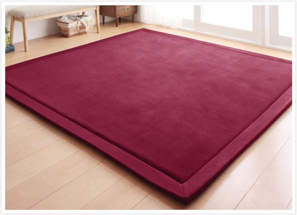Coral Velvet Area Rugs Play Mat Carpet Crawling Mat for Nursery Baby Toddler Children Kids Room,Yoga Mat Exercise Pads(Grape Red,120 x 200cm / 4 ft x 6.6 ft)