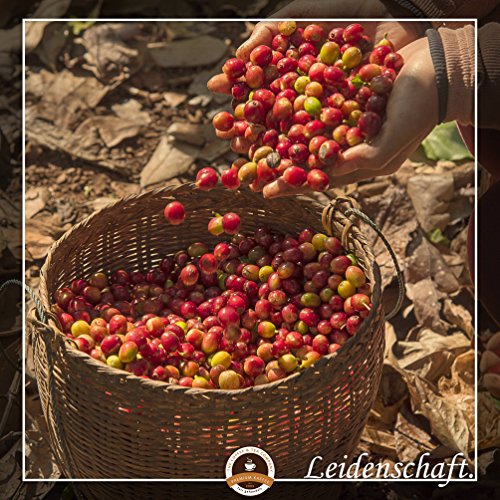 Kaffee Globetrotter - Kaffee Mit Herz - Colombia Hacienda La Claudina - 1000 g Ganze Bohne - für Kaffee-Vollautomat… – Bild 5