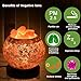 Himalayan Salt Lamp, Natural Crystal Salt Lamp Salt Chunks in Glass Bowl with Wood Base, Bulb and Dimmer Control for Christmas Gift and Home Decorations. [energy class a+++]
