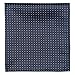 Retreez 5 Piece Assorted Woven Microfiber Premium Pocket Square Gift Box Set - Set 004