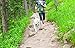 Outward Hound Kyjen 23004 Hands Free Hipster Dog Leash Storage Accessory 5ft Leash Included, Green