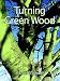 Turning Green Wood primary
