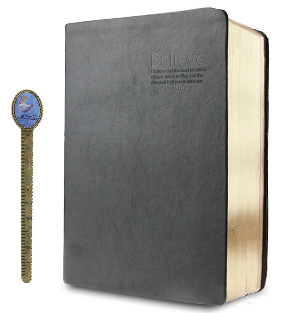 Soft Faux Leather Thick 640 Pages Blank Notebook A5 Daily Bible Study Notebook Diaries Drawing Sketchbook Scrapbook Life Records Best for Two Years Writing