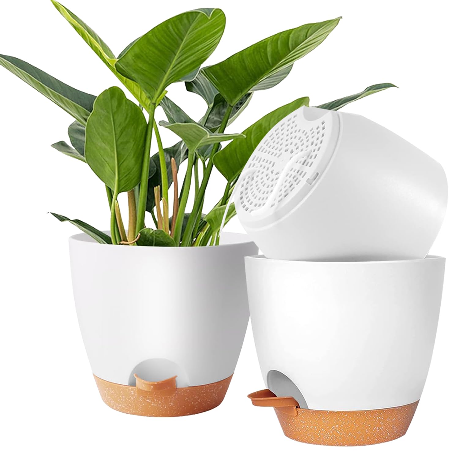 Accmuzzy 20cm Plant Pots Indoor,3pcs Self Watering Plant Pots,House Indoor Plant Pot,Large Flower Orchid Pots Plant Pots with Holes,Plastic House Inside Plant Pot Planters with Saucer (White)