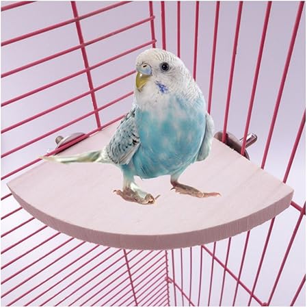 bird cage perches
