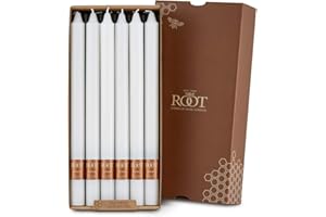 Root Candles Unscented Smooth Arista 12-Inch Dinner Candles, White