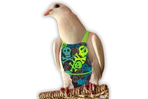 Bev's Bird Boutique - Regular Flypers (Open Back Design)