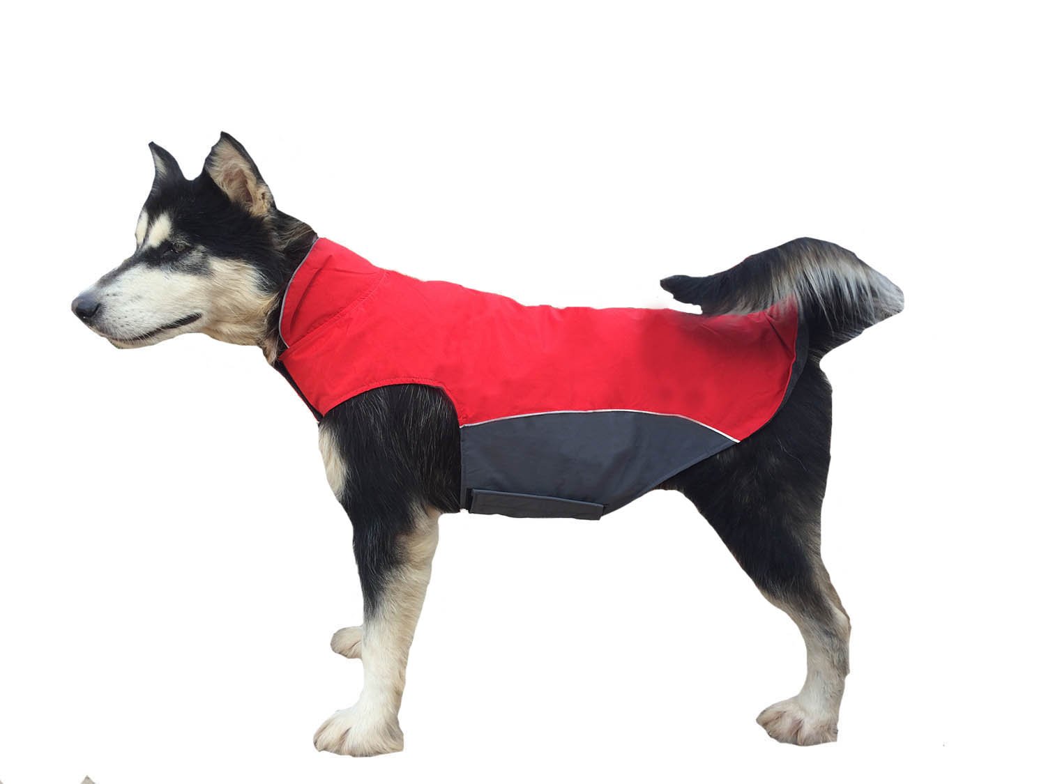 BONAWEN Autumn Winter Dog Coat Waterproof for Extra Large