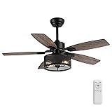 42 Inch Ceiling Fans with Lights and Remote/APP