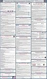 2017 Colorado State and Federal Labor Law Poster - Laminated 24