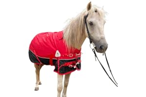 KABAHORZE Mini Horse/Pony/Foal/Miniature1600 Denier Horse Turnout Blanket, Horse Care Sheet, Waterproof Breathable Horse Blanket (220g Fill)
