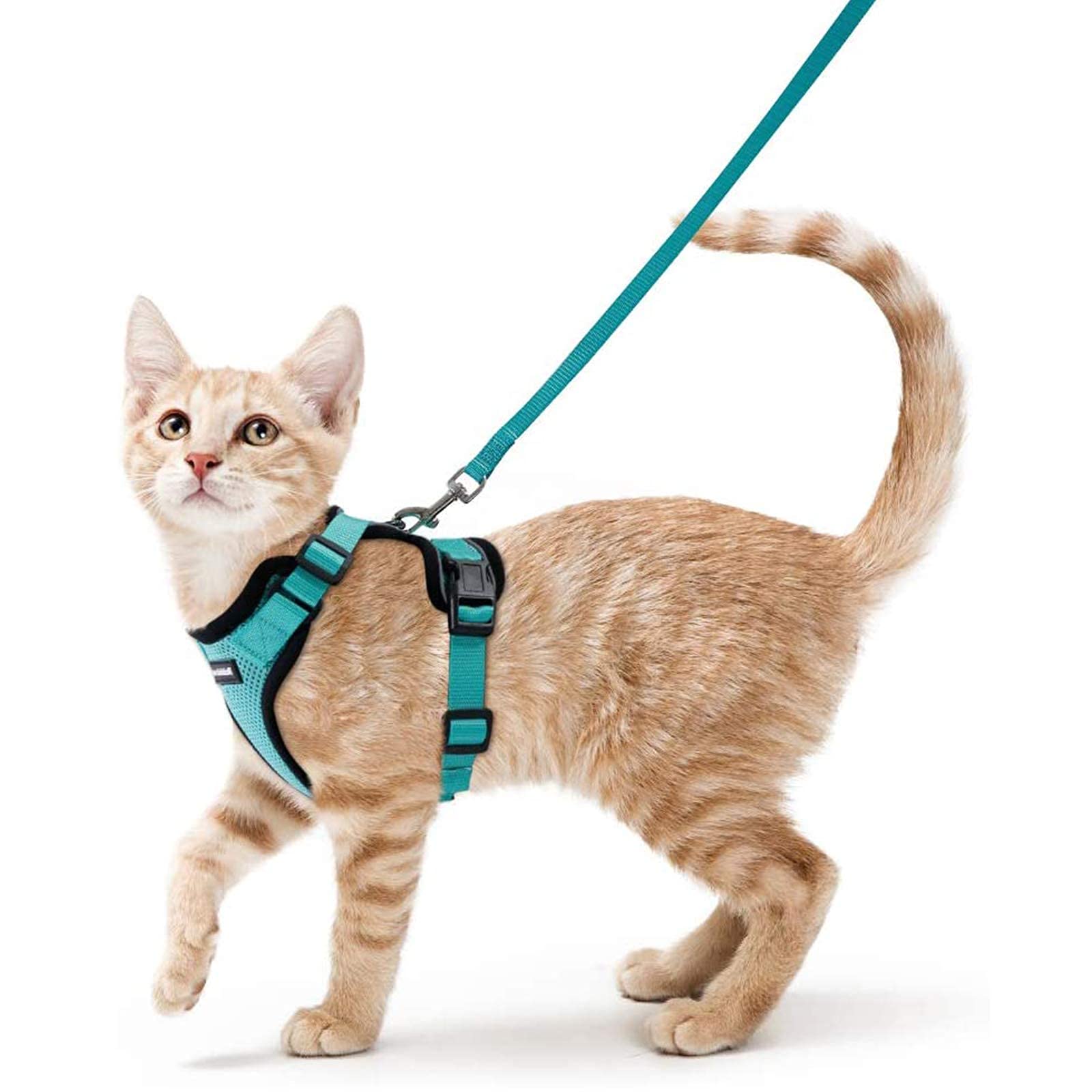 Photo 1 of rabbitgoo Cat Harness and Leash for Walking, Escape Proof Soft Adjustable Vest Harnesses for Cats, Easy Control Breathable Reflective Strips Jacket, Emerald, XS
