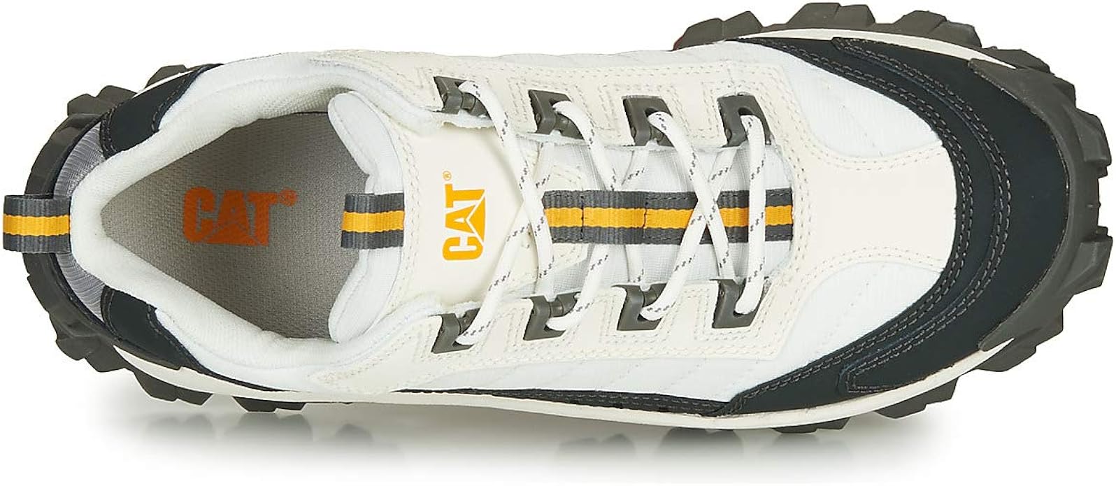 cat intruder pirate black