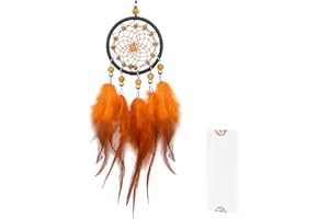 HOLSM-III Mini Dream Catchers - Rooster Feather with Abs Crystal, Handmade Small Dreamcatcher for Bedroom, Dream Catcher for Girls, Dream Catchers for Boys, Dream Catcher Wall Decor