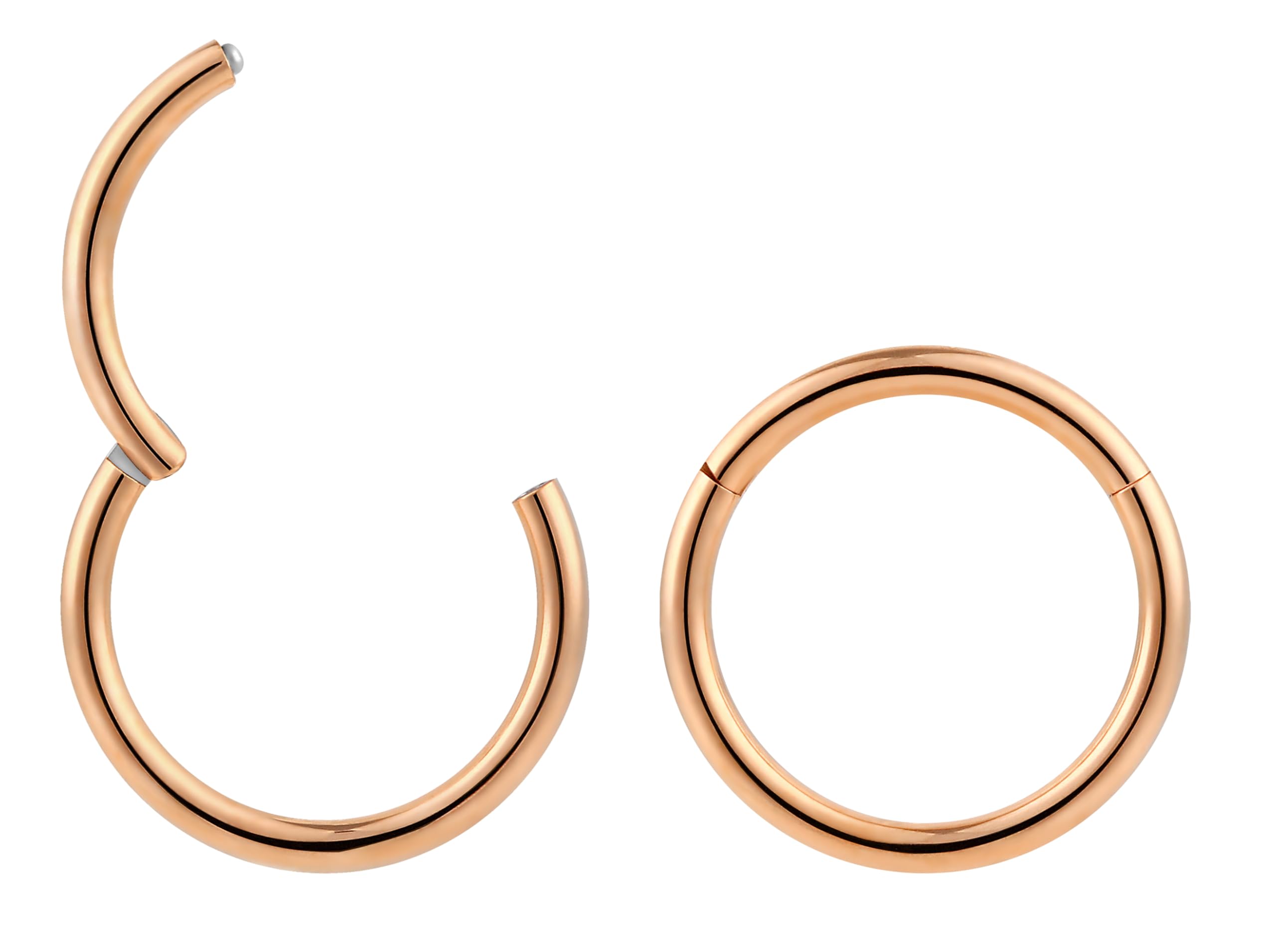 (16G 12mm) 2PCS 316L Surgical Steel Hypoallergenic Septum Jewellery Hinged Segment Ring Body Piercing Hoop Lip Rings Helix Cartilage Rook Sleeper Earrings