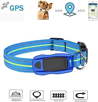 dog tracking watch