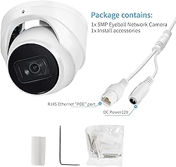 Dahua PoE Security Dome Surveillance IP Camera