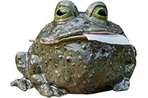 Whimsical Toad Tissue Box Cover, Humorous Toilet Paper Holder, Funny Decorative Toad Tissue Holder for Bathroom,Table,Kitchen