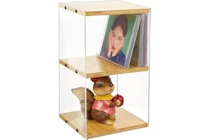 GLASSWINDS 2 Tier Retro Wood Clear Acrylic CD Storage Rack, Holds 30 CD Case, DVD Organizer Shelf for Movie & Video Games Collectible DVD Media Display Stand Tower Holder Shelf