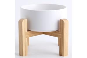 Petygooing 28 OZ White Elevated/Raised Ceramic Dog Bowl for Small and Medium Breeds, Dog Food Water Dish with Stand,Pet Feeding Bowl with Anti Slip Rubber for Cats Small and Medium Dogs (3.6 Cups)
