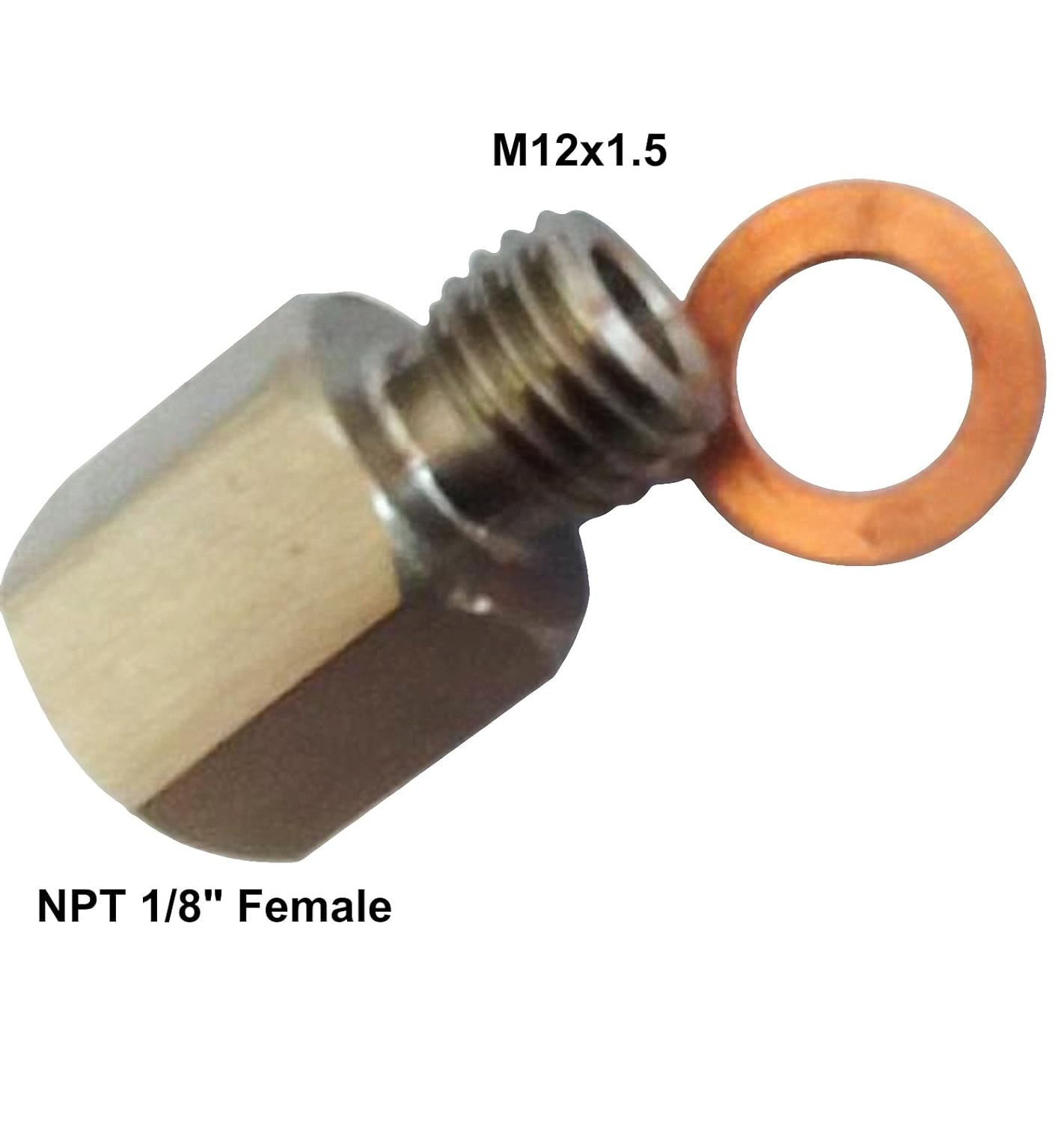 Fitting Adapter NPT 1 8 Female Metric M12X1 5 Male 304 Stainless Steel fitting-adapter-npt-1-8-female-metric-m12x1-5-male-304-stainless-steel