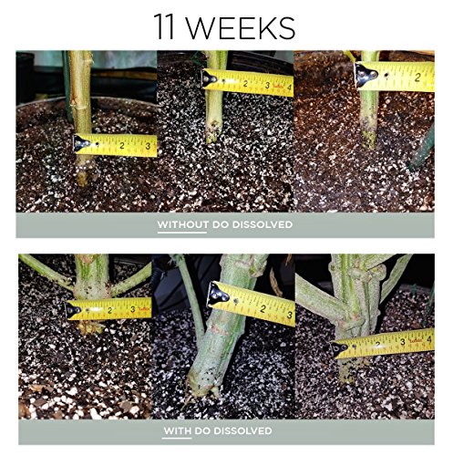 Dissolved Oxygen for Hydroponics and Soil Gardens, Natural Growth Stimulator for Healthy Roots, One Step Rooting Nutrients Solution for Your Hydro Farm, Use for Clipping Starter Clone, Cloner Supplies - Thumbnail 5