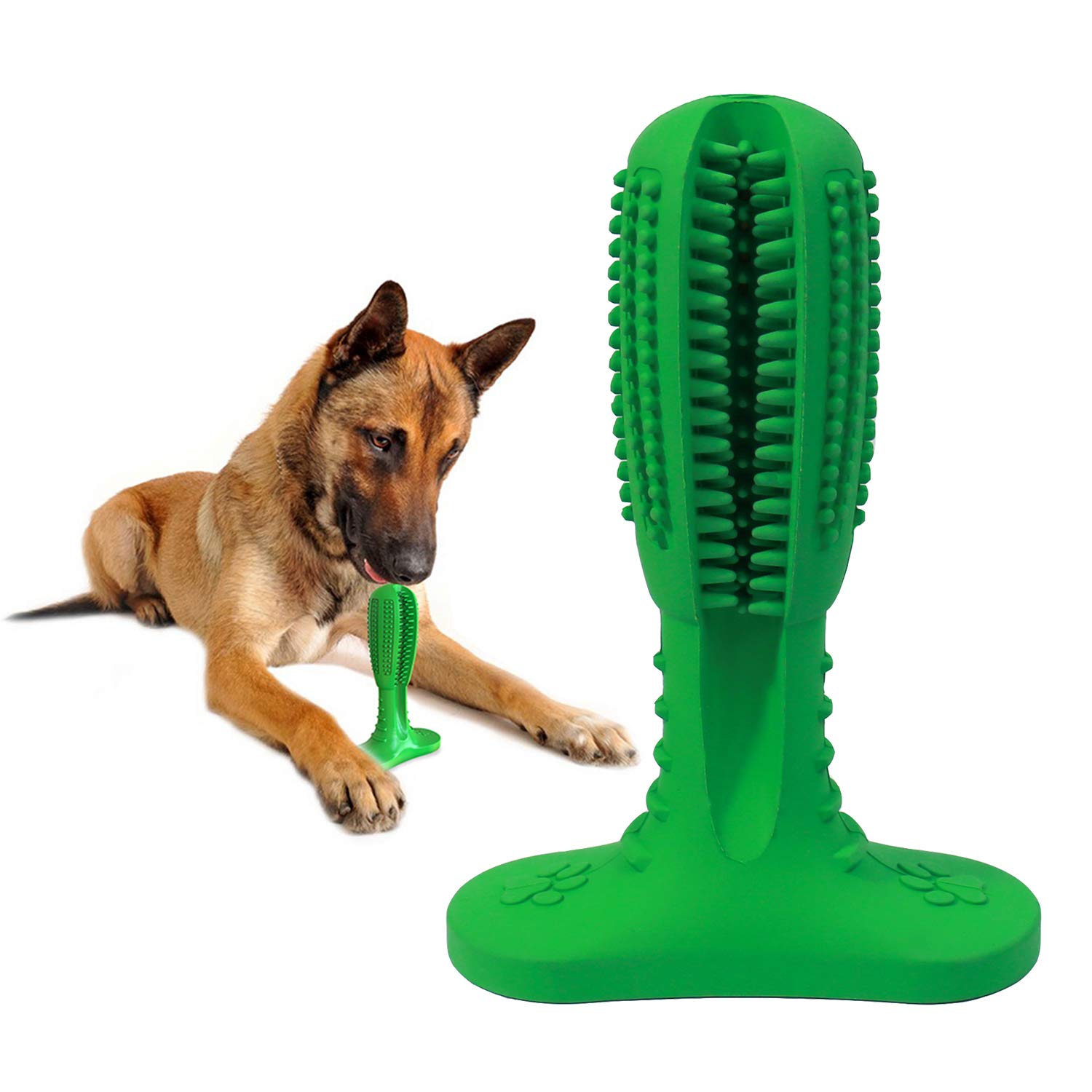 MansWill Dog Dental Care Toothbrush, Dogs Teeth Cleaning Bite Resistant Chew Toy/Natural Nontoxic Rubber Molar Stick for Kissable Small & Large Pets Puppy