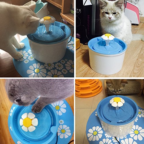 Iseebiz Pet Water Fountain 1 6l Cat Water Dispenser Pet Automatic