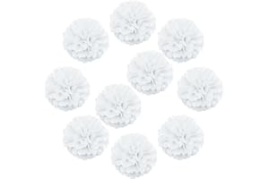 Lightingsky 10pcs DIY Decorative Tissue Paper Pom-poms Flowers Ball Perfect for Party Wedding Home Outdoor Decoration (10-inch Diameter, White)