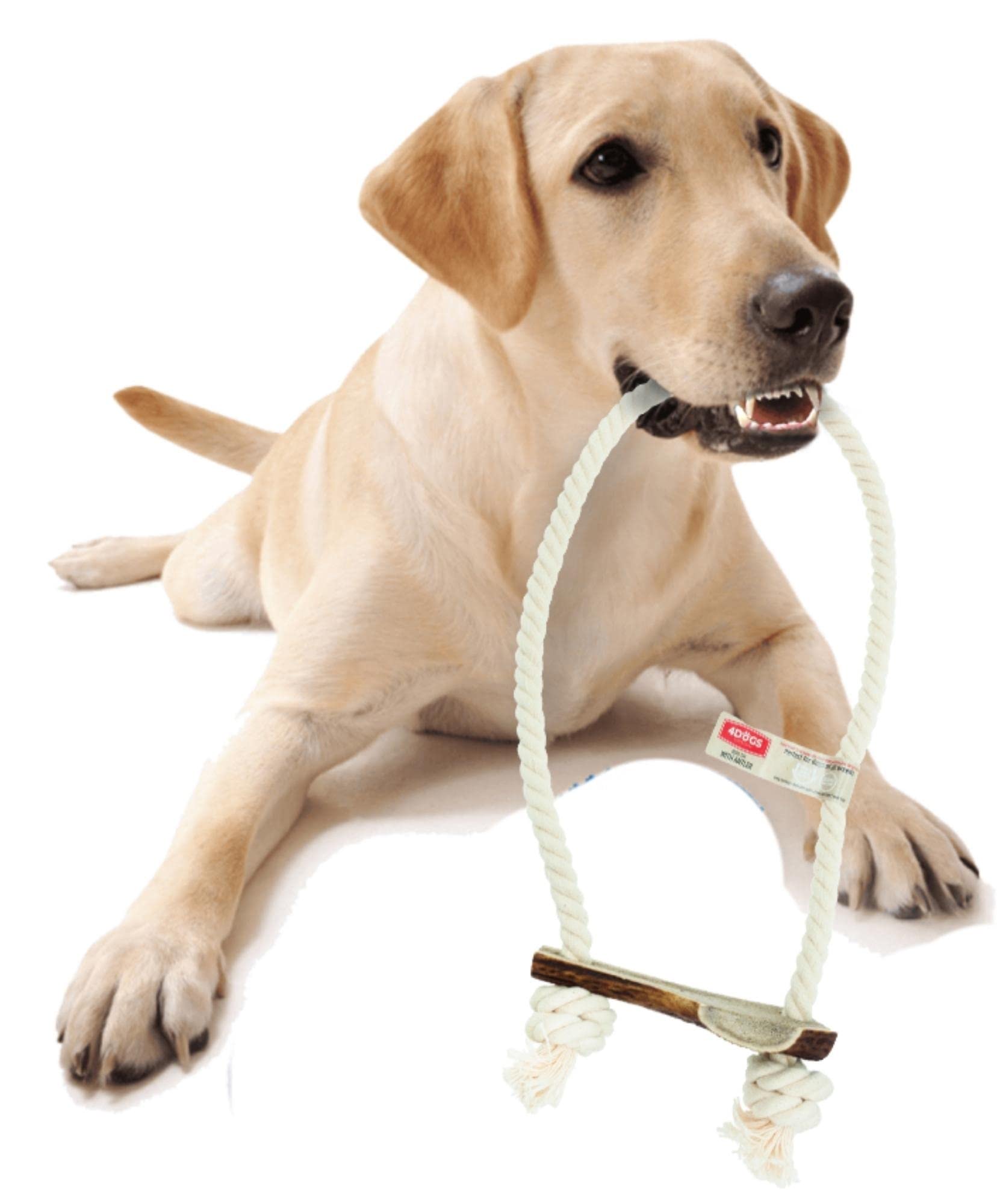 4DOGS Indestructible Dog Rope Toy for Dog Teeth Cleaning Combined with Natural Dog Chew Antler, This is 100% Natural Gluten Free, GMO Free Dog Toys - 1 Piece Hook Easily Chewable- Large
