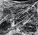 JOYIN 8.5 oz Super Stretch Spider Web (Stretch to 800 Square Feet) with 72 Pack 1.5